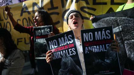 Der Klage von mehreren Tierschützern gingen Proteste und Demonstrationen voraus, wie hier am 2. Juni 2022 in Mexiko City.