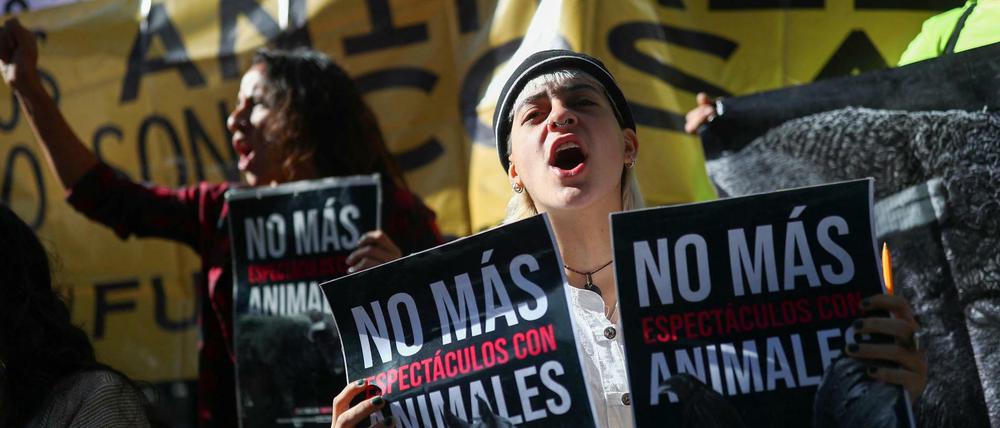 Der Klage von mehreren Tierschützern gingen Proteste und Demonstrationen voraus, wie hier am 2. Juni 2022 in Mexiko City.