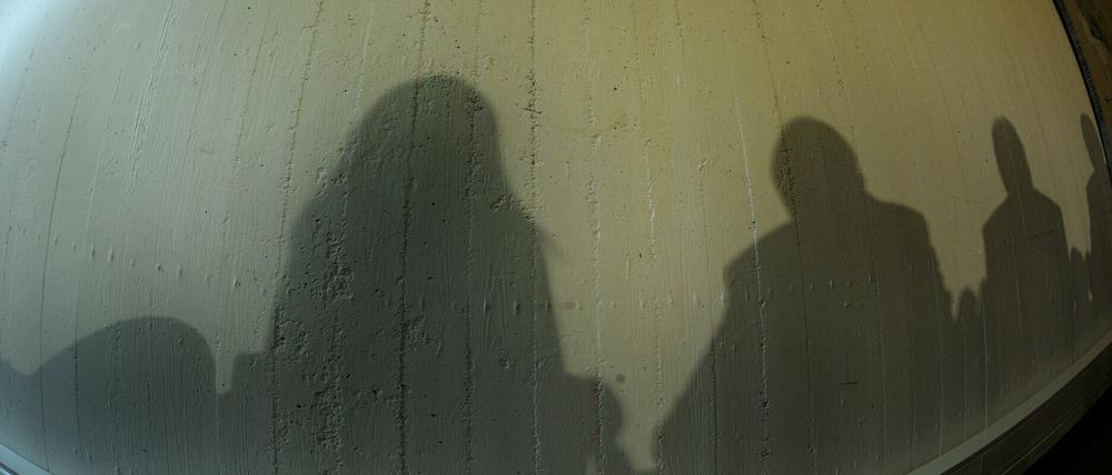 Fotokunst bei der Pressekonferenz: Die Schatten der Protagonisten, die die Leitlinien vorstellen.