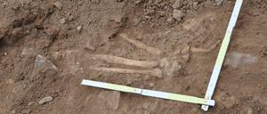 Bei einem Pool-Bau im Hartz wurden 500 Jahre alte menschliche Knochen entdeckt.