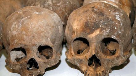 1000 Jahre alte Schädel, die in dem Massengrab in einer Höhle im Süden Mexikos gefunden wurden.