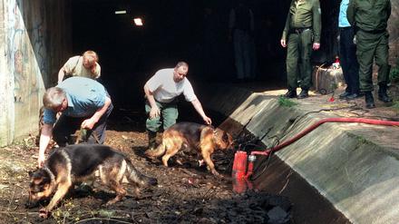 Polizeibeamte suchen am 31. März 1998 mit Hunden im Liederbach in Frankfurt-Höchst nach Spuren des ermordeten 13-jährigen Tristan.