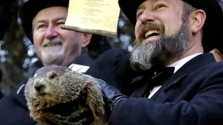 Der Co-Vorsitzende des Groundhog Club, Al Dereume (r), hält Punxsutawney Phil, das wetterprognostizierende Murmeltier, während des 133. Murmeltiertags. 