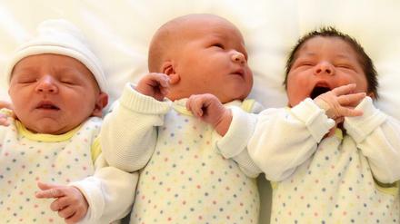 Neugeborene Babys.