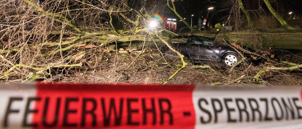 Ein zerstörtes Auto unter einem umgestürzten Baum im Hamburger Stadtteil Harvestehude