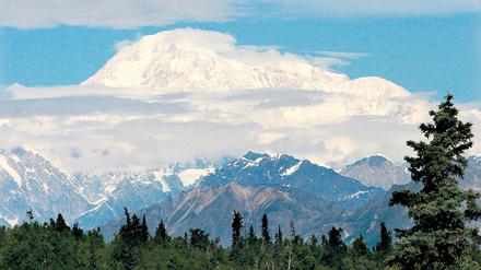 Denali, der höchste Berg Nordamerikas in Alaska