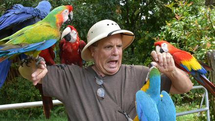 Der Papageien-Trainer Bud Clifton übt mit seinen Papageien am 08.05.2015 auf Maui (Hawaii, USA).