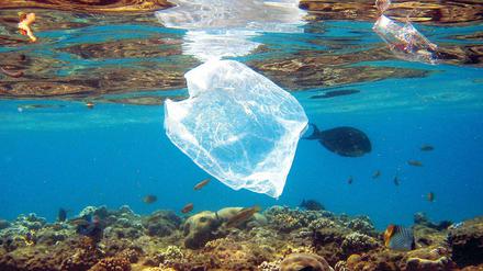 Sie schwimmt und schwimmt und schwimmt. Es dauert oft mehr als 100 Jahre, bis eine Plastiktüte im Meer vollständig abgebaut ist.