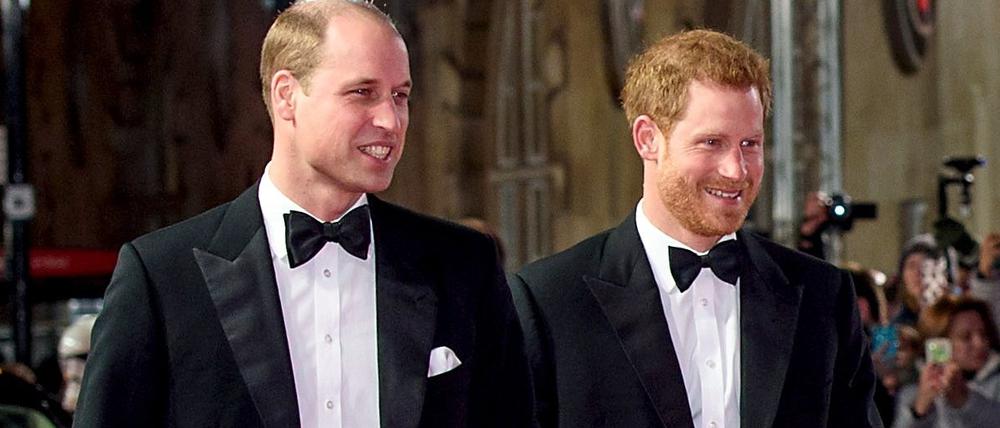 Die britischen Prinzen William (links) und Harry.