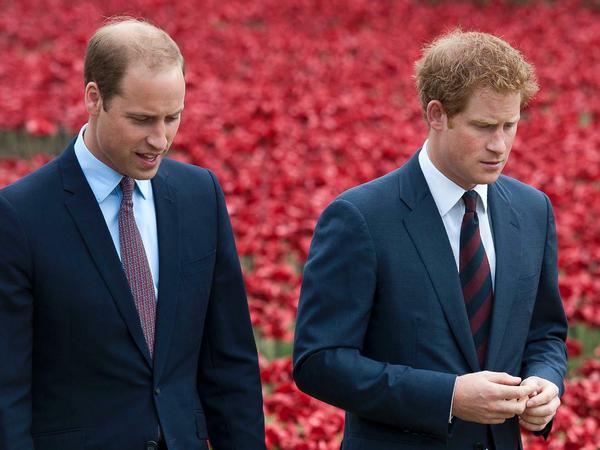 Zwist unter royalen Brüdern: Prinz William (links) und sein Bruder Prinz Harry (Archivbild von 2014)
