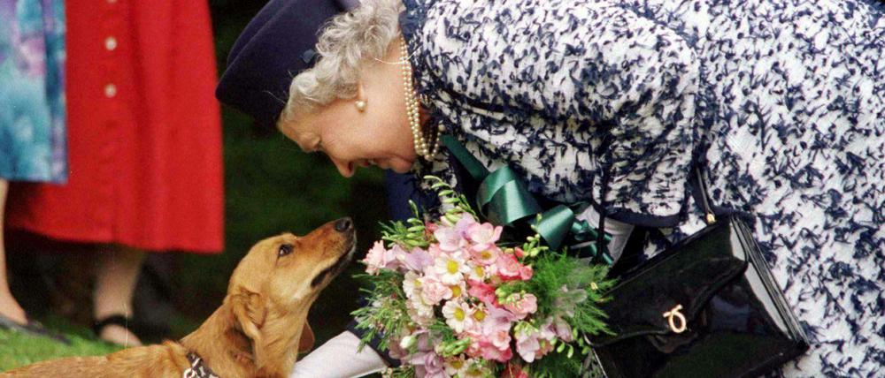 Königin Elizabeth II. und ihr Corgi.