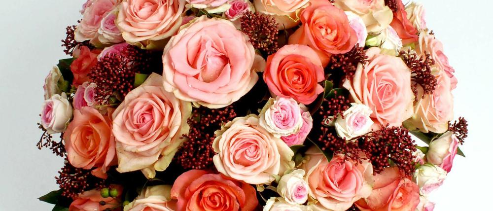 Sag's durch die Blume. Rosen zum Valentinstag sind eine sichere Bank. 