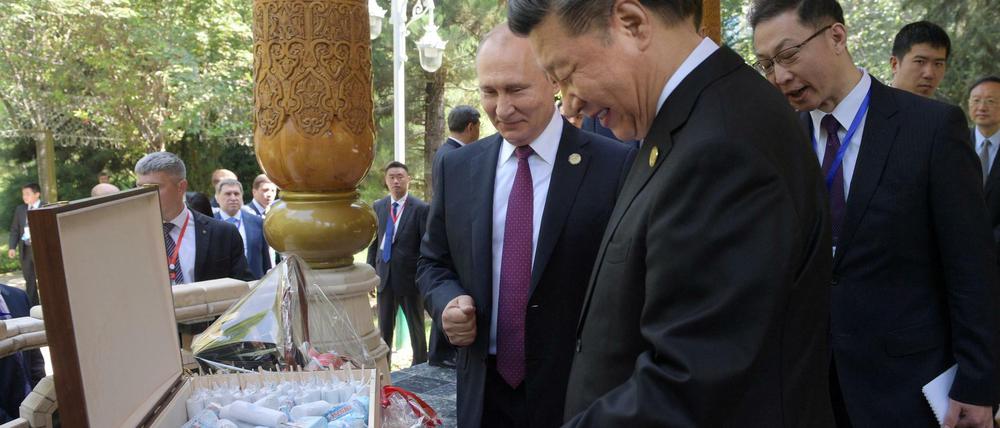 Xi Jinping freut sich bei 30 Grad Außentemperatur über die Geste von Wladimir Putin.