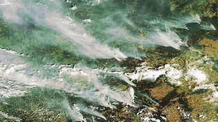 31. Juli: Mit einem Großaufgebot von hunderttausenden Helfern versuchen die russischen Behörden die verheerenden Waldbrände im europäischen Teil des Landes in den Griff zu bekommen. Fast 240.000 Feuerwehrleute sind im Kampf gegen die Flammen im Einsatz, wie das Katastrophenschutzministerium mitteilte. 