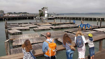 Besucher halten Ausschau nach den verschwundenen Seelöwen in San Francisco.