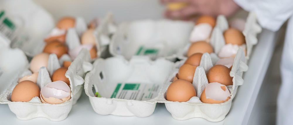 Das Chemische Veterinäruntersuchungsamt in Münster untersucht Eier auf Rückstände. 