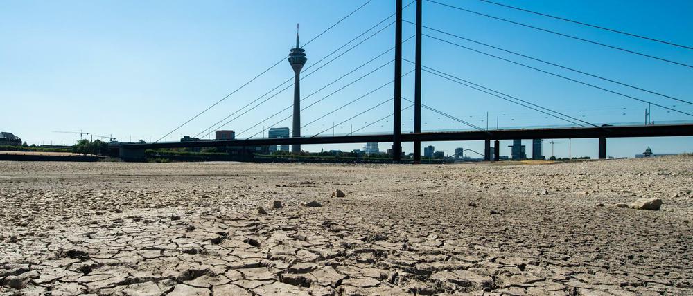 Die Erde im Flussbett des Rheins ist aufgrund der Dürre ausgetrocknet und aufgerissen.