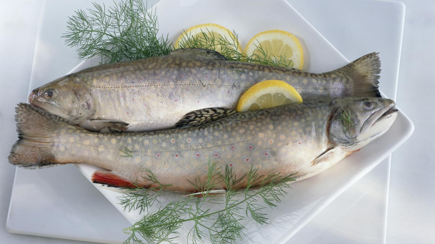 Studie zu Musik und Geruch Heavy Metal riecht nach Fisch