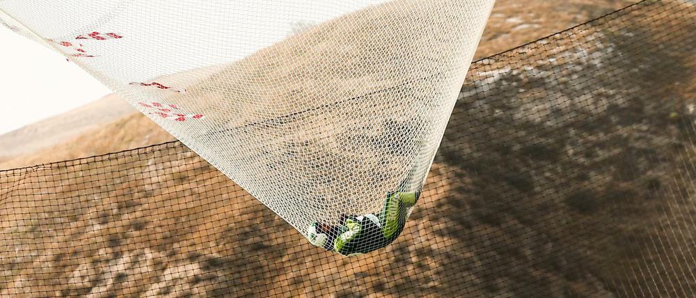 Sicher im Netz: Skydiver Luke Aikins nach seinem Rekordsprung
