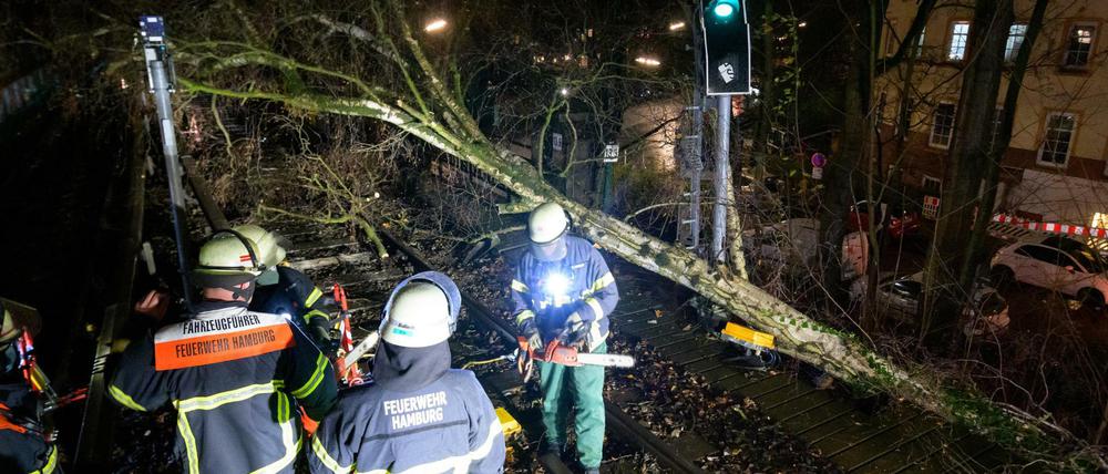 Feuerwehrleute bearbeiten mit Motorsägen einen umgestürzten Baum in Hamburg.