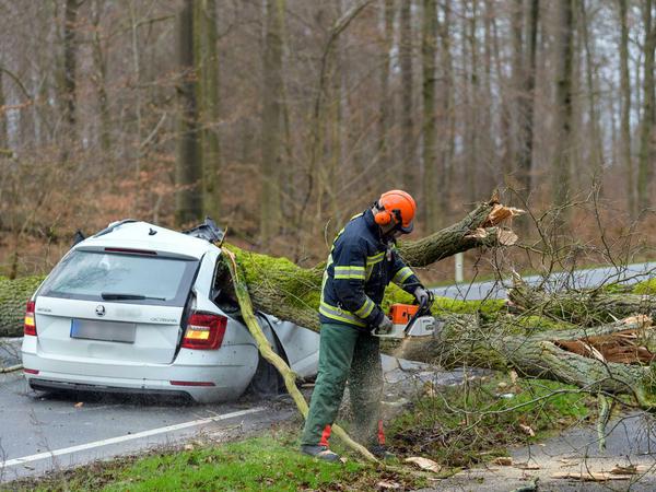 Autofahrer stirbt durch einen umgestürzten Baum: Unfallstelle bei Bad Bevensen