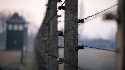 Stacheldrahtzäune und ein Wachturm des früheren Vernichtungslagers Auschwitz-Birkenau.