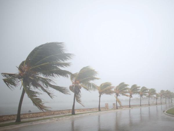 Auch auf Kuba hat Hurrikan "Irma" bereits zu heftigen Sturm und Flutwellen geführt.