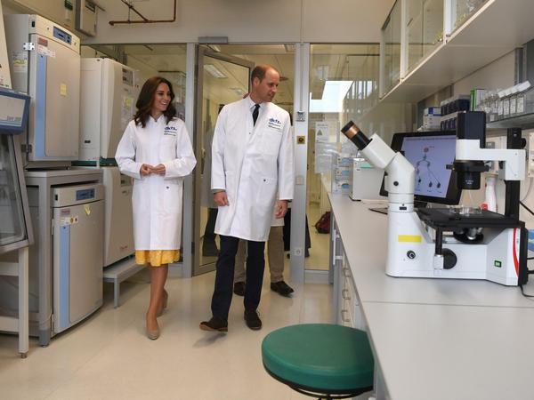 William und Kate informierten sich auch im Deutschen Krebsforschungszentrum.