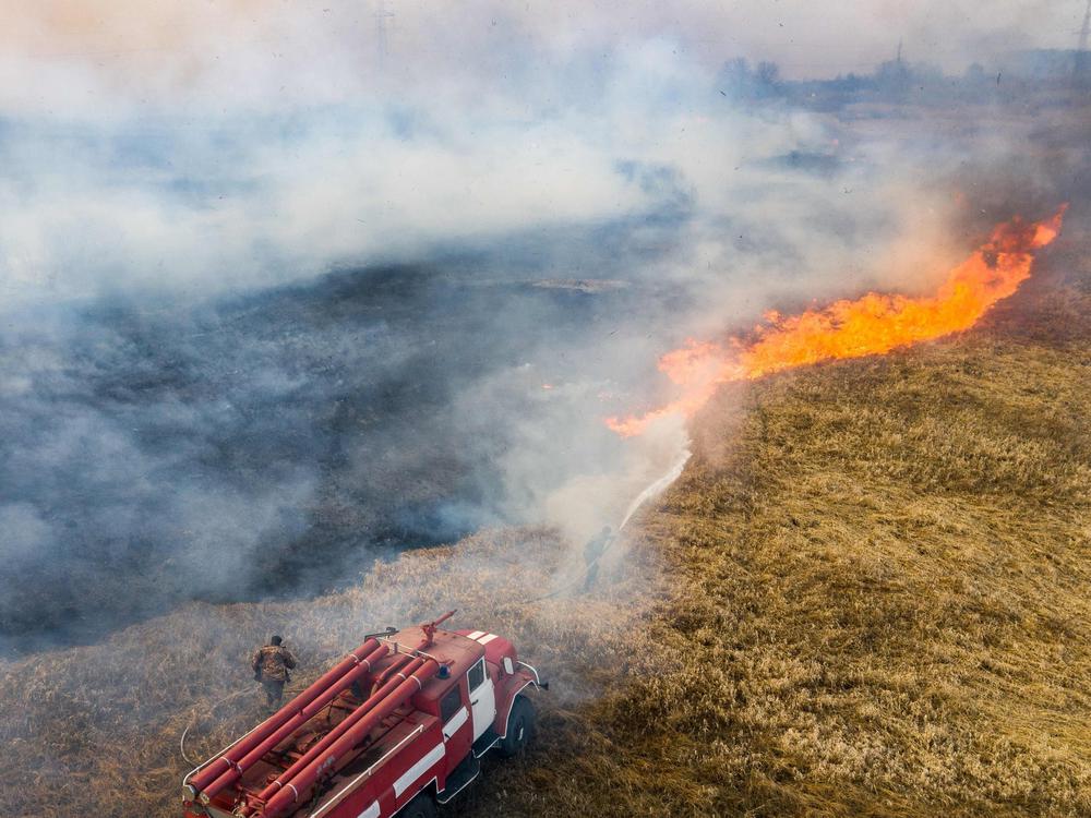 Löscherfolge in verstrahlter Sperrzone: Feuerwehr und Regen bringen
