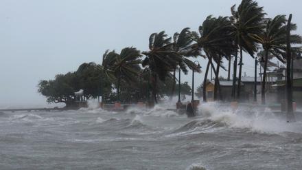 Bereits vor der Ankunft von "Irma" knickten in Puerto Rico die ersten Bäume um. Rund 300.000 Menschen waren ohne Strom.