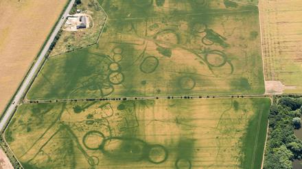 Landschaft mit Grabmonumenten bei Eynsham, Oxfordshire. Die Bewuchsmerkmale offenbaren nun Reste prähistorischer Grabmonumente aus der Zeit von 4000 bis 700 vor Christus. Die kreisrunden Gruben wurden erst jetzt im Juli entdeckt. Dunkle Linien weisen auf Gräben, hier konnten die Pflanzen längere Wurzeln bilden.