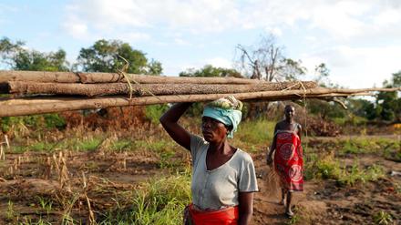 Eine Frau trägt Holz zur Wiedererrichtung einer Hütte in der Nähe von Beira in Mosambik.