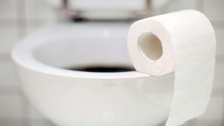 Saubere Sache. Österreicher falten das Toilettenpapier gerne.
