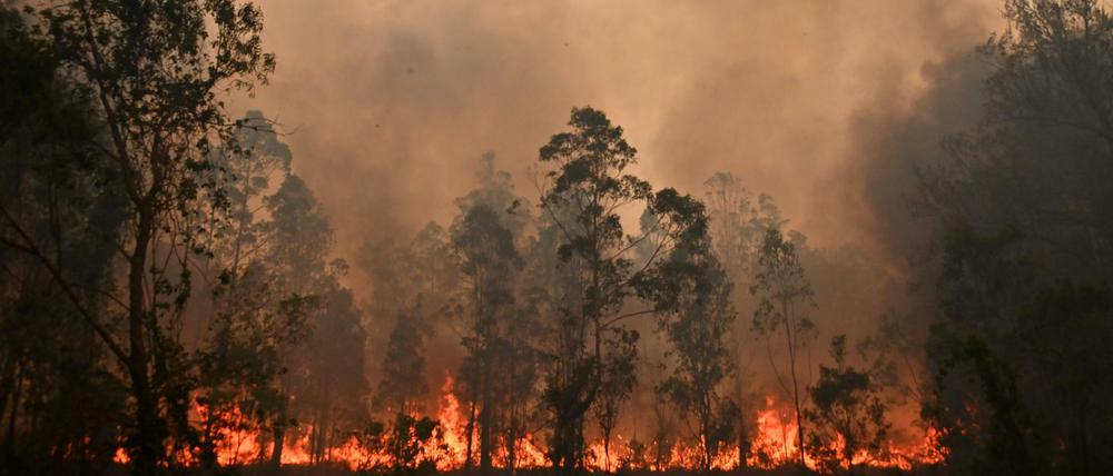 Ein großes Feuer brennt in Bobin, das 350 Kilometer nördlich von Sydney liegt.