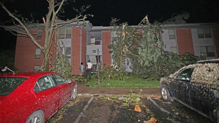 Zerstörte Bäume vor einem Haus in Dayton. 