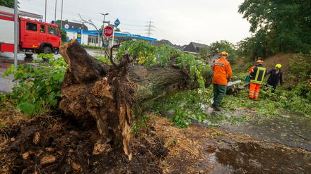 Nordrhein-Westfalen, Hünxe-Drevenack: Feuerwehrleute zersägen einen umgestürzten Baum, der eine Straße versperrt. In dem Ort gab es zuvor ein hefitges Gewitter. 