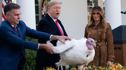 Donald Trump begnadigt vor Thanksgiving den Truthahn "Butter". 