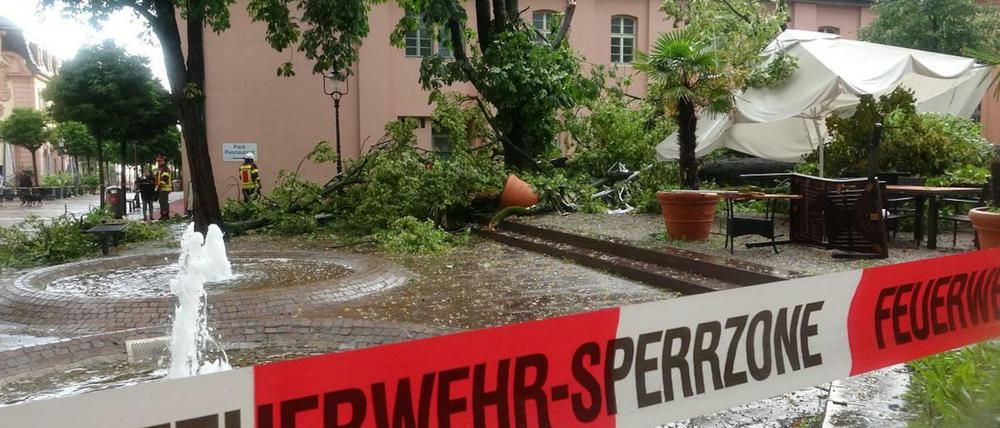 Im baden-württembergischen Rastatt wurden vier Menschen durch einen umstürzenden Baum verletzt.