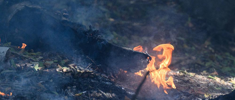 Flammen lodern an einem Glutnest während eines Waldbrandes im Nationalpark Sächsische Schweiz.