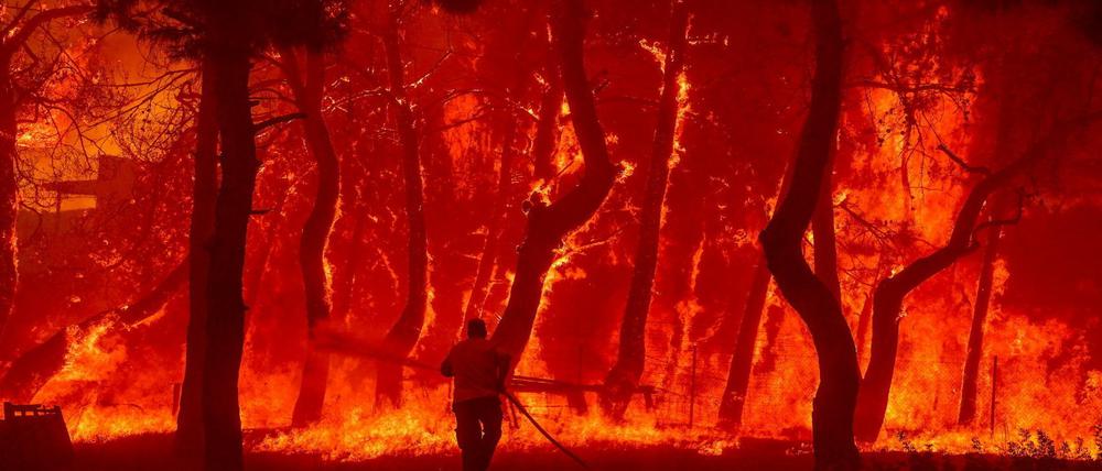 Ein Mann geht mit einem Löschschlauch auf die Flammen eines Waldbrandes auf der Ferieninsel Lesbos zu.