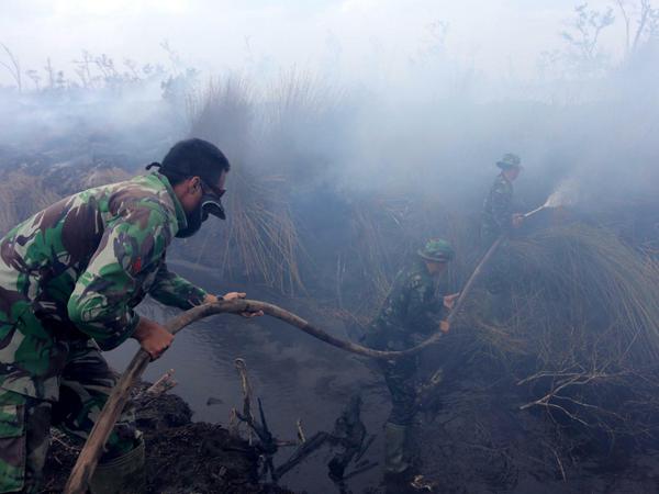 In Indonesien brennen Wälder und Torfböden - schlimmer als in den Jahren zuvor. Die Rauchwolke hat sich über ganz Südostasien gelegt. 