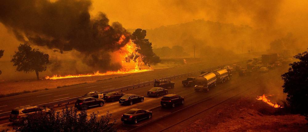 Brände neben einer Schnellstraße im US-Bundesstaat Kalifornien