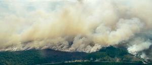 In Schweden sind große Waldbrände wegen der Sommerhitze völlig außer Kontrolle geraten.