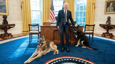 US-Präsident Biden trauert um seinen Schäferhund Champ (links).