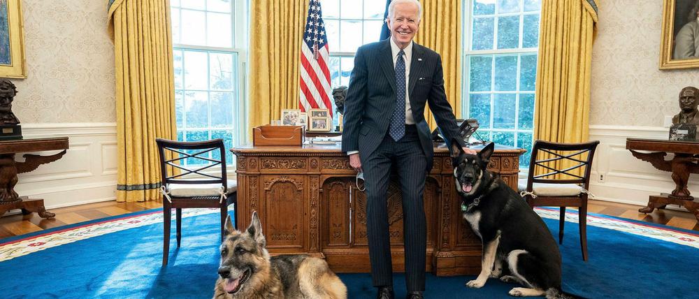 US-Präsident Biden trauert um seinen Schäferhund Champ (links).