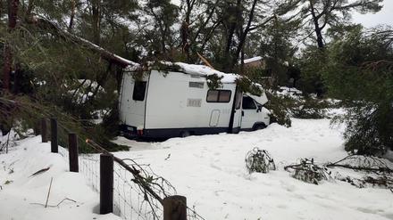 Ein Wohnmobil ist von einem durch Schnee eingestürzten Baum im Gebiet des Gebirgszug Serra de Tramuntana eingeklemmt.