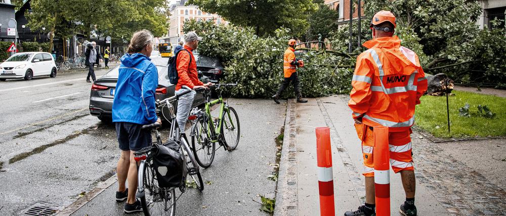 Ein Baum liegt in der Nähe des Vergnügungsparks Tivoli in Kopenhagen auf dem Boden, nachdem er bei einem schweren Sturm umgestürzt ist.