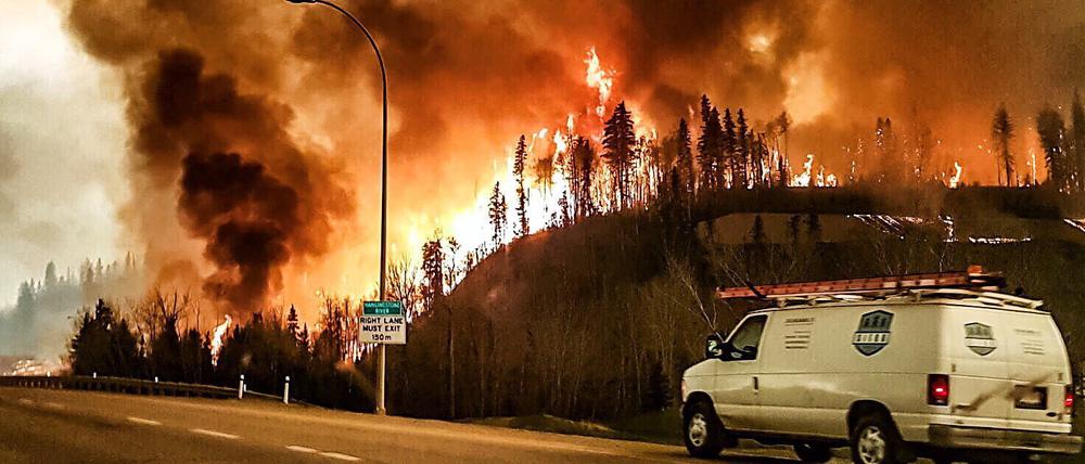 In der kanadischen Provinz Alberta wüten seit Tagen Waldbrände.