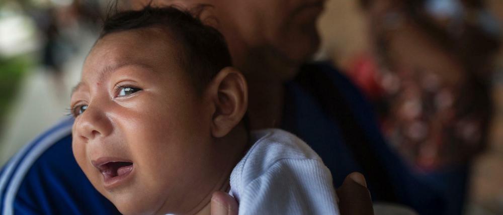 Der Zika-Virus steht in Verdacht, über infizierte Schwangere Fehlbildungen bei Kindern zu verursachen. 