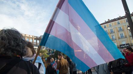 Die Transgender-Fahne. In Deutschland wird seit langem die Abschaffung des Transsexuellengesetzes gefordert.